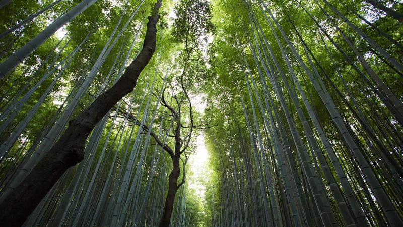 79 net必赢服务团队协作场景