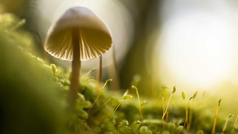 79 net必赢数据驱动决策